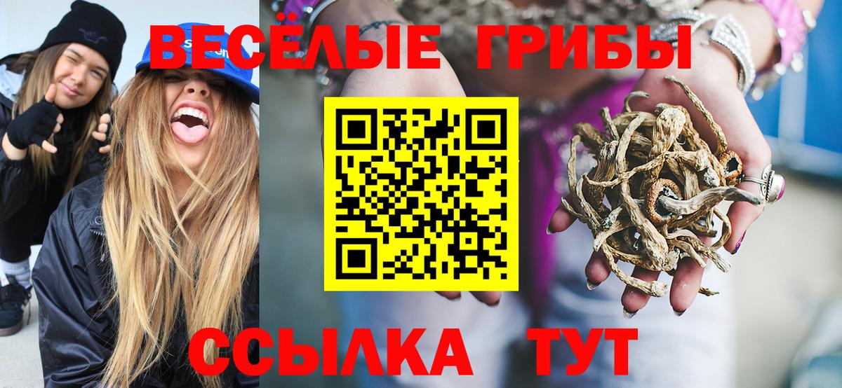Галлюциногенные грибы GOLDEN TEACHER Балтийск