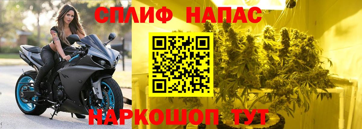 Канабис White Widow  Бошки марихуана конопля  Вход с VPN  Шишки марихуана сатива  Балтийск 