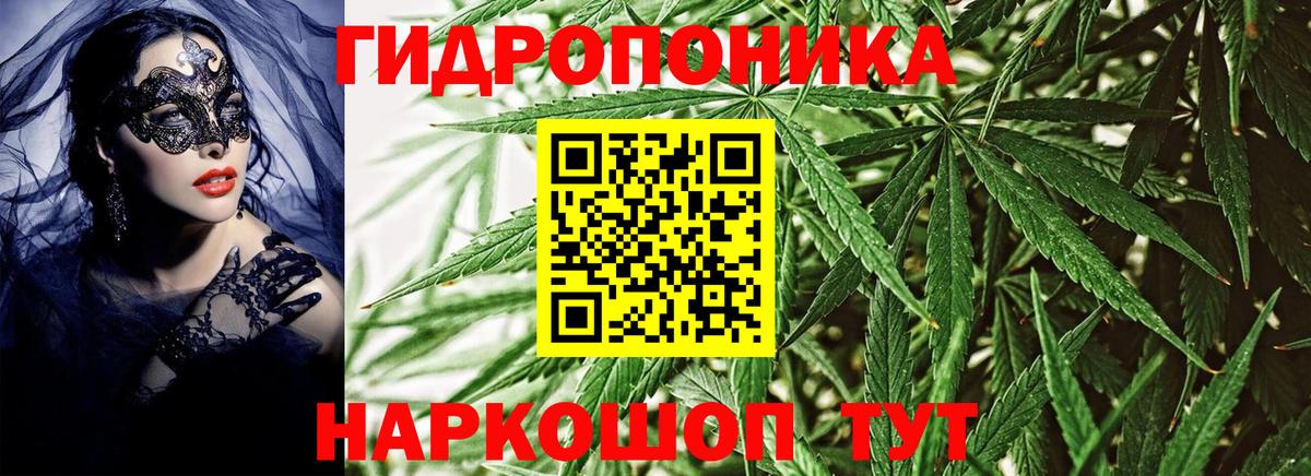 Каннабис ГИДРОПОН Балтийск